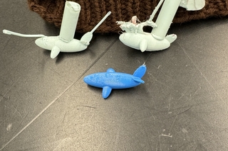 All the Whales!